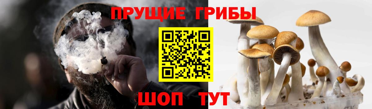 Псилоцибиновые грибы ЛСД Воскресенск
